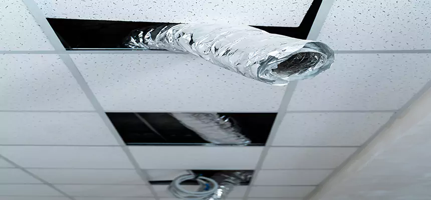 Our Air Duct Pet Hair Removal Services in Paterson, NJ