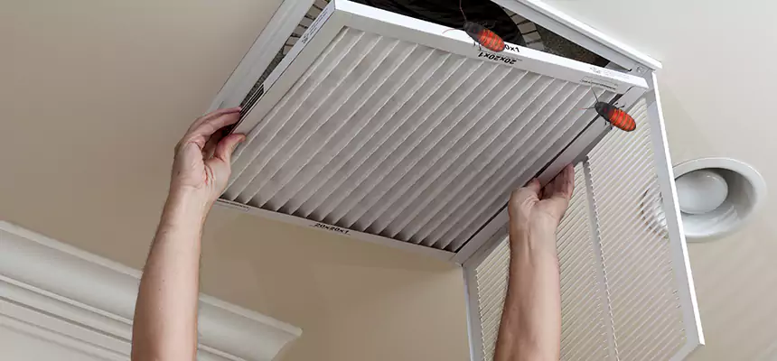 Our Insect Removal from Air Ducts Services in Paterson, NJ