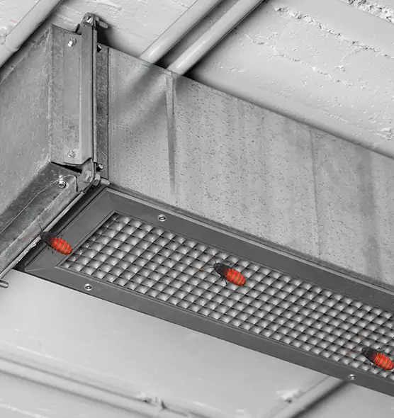 About Air Duct Cockroach Removal in Paterson, NJ