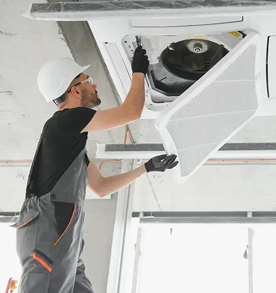 About Air Duct Rodent Removal in Paterson, NJ