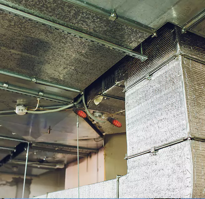 Why Homeowners & Businesses Trust Us in Paterson, NJ?