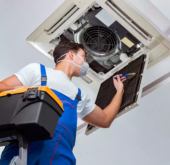 Why Homeowners & Businesses Trust Us in Paterson, NJ