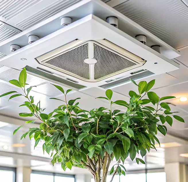 Why Homeowners & Businesses Trust Us in Paterson, NJ?