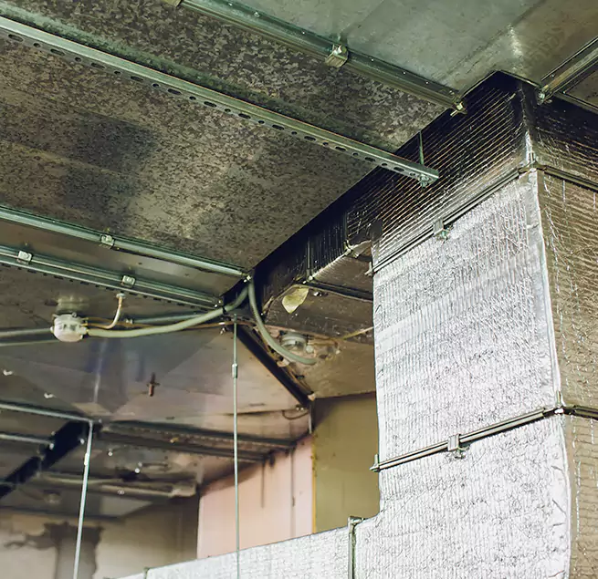 Why Homeowners & Businesses Trust Us in Paterson, NJ?